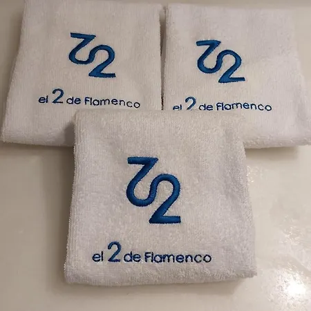 El 2 De Flamenco Atico 3ºb Appartement Cadix